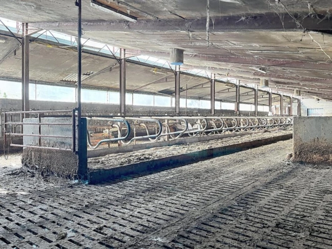 Photos 9 - Agricole - Bovine