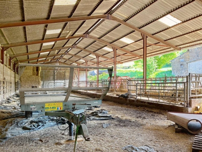 Photos 14 - Agricole - Bovine