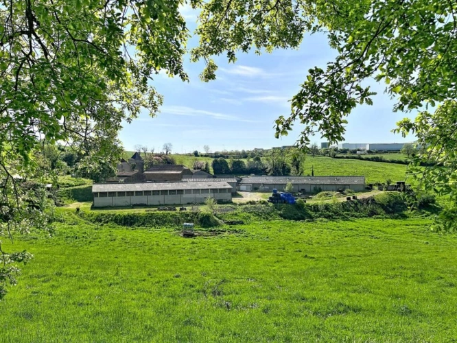 Photos 16 - Agricole - Bovine