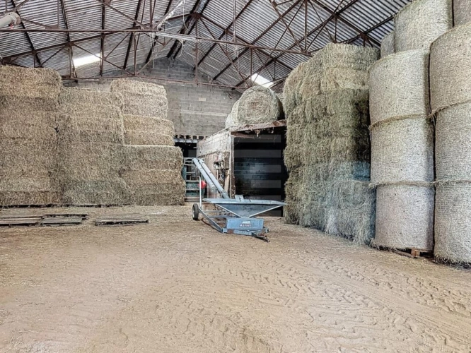 Photos 14 - Agricole - Corps de ferme