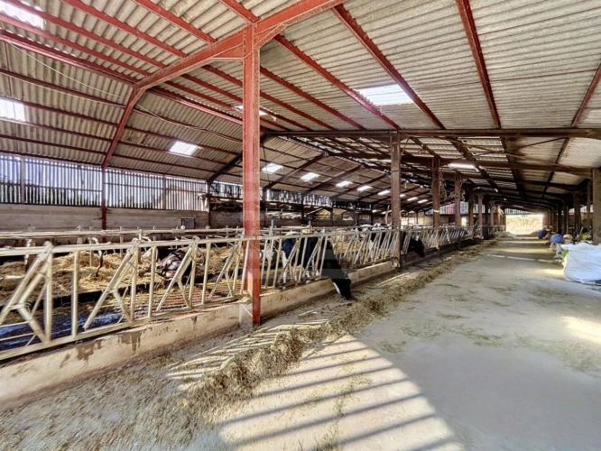 Photos 3 - Agricultural - Laitière
