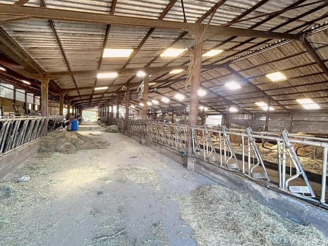 Photos 4 - Agricultural - Laitière
