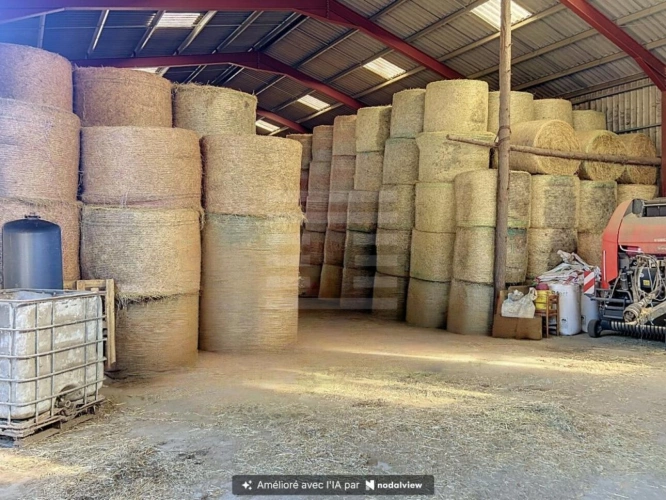 Photos 12 - Agricultural - Laitière