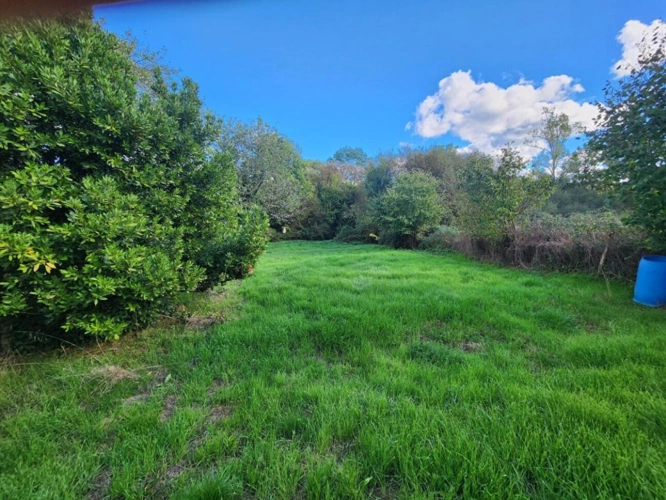 Photos 9 - Rurale - Chirac - maison avec grange, terrain et source d'eau - petite exploitation
