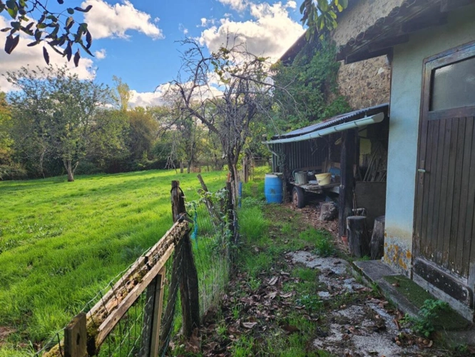 Photos 10 - Rurale - Chirac - maison avec grange, terrain et source d'eau - petite exploitation