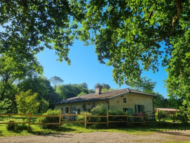 Photos 18 - Rurale - MAISON DE CHARME