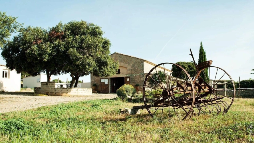 Photos 1 - Equestrian - Equestrian center operating 16 hours a week   A rare find on