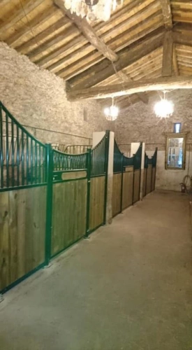 Photos 2 - Equestrian - Equestrian center operating 16 hours a week   A rare find on