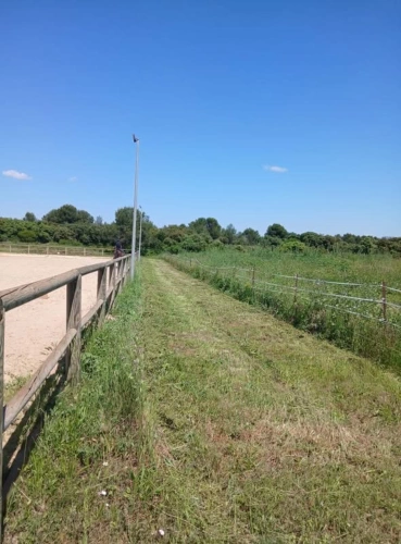 Photos 3 - Equestrian - Equestrian center operating 16 hours a week   A rare find on