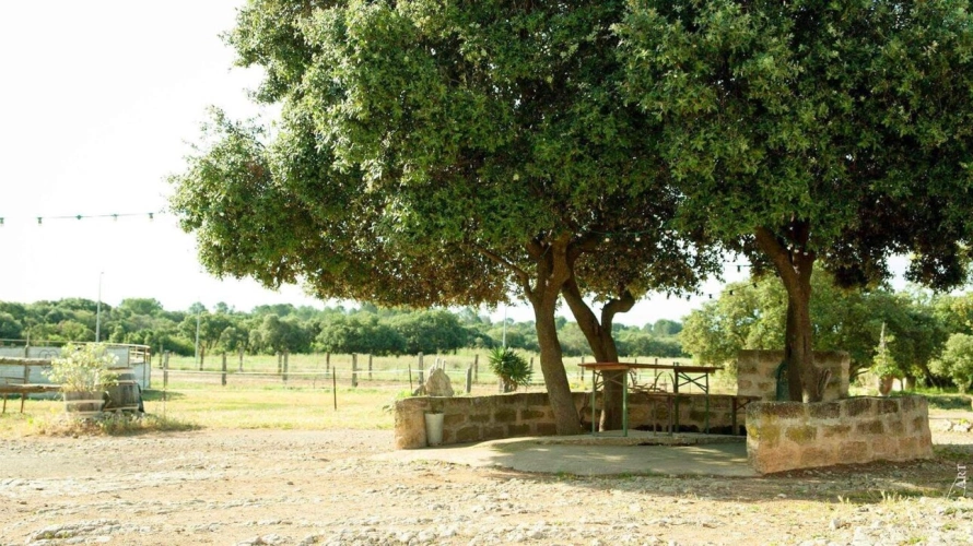 Photos 4 - Equestrian - Equestrian center operating 16 hours a week   A rare find on