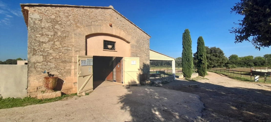 Photos 5 - Equestrian - Equestrian center operating 16 hours a week   A rare find on