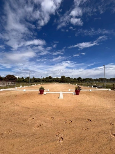 Photos 6 - Equestrian - Equestrian center operating 16 hours a week   A rare find on