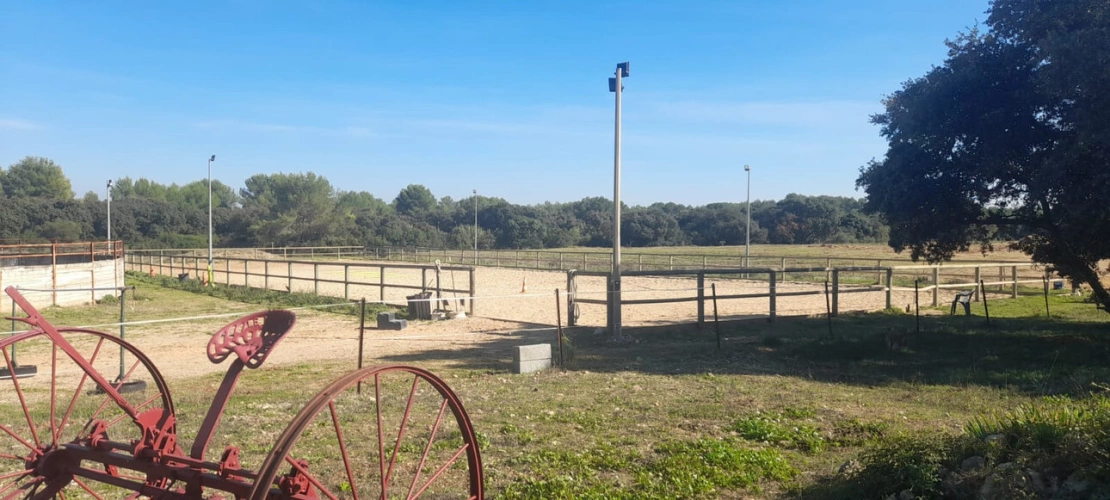 Photos 10 - Equestrian - Equestrian center operating 16 hours a week   A rare find on