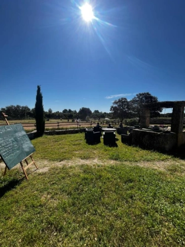 Photos 11 - Equestrian - Equestrian center operating 16 hours a week   A rare find on