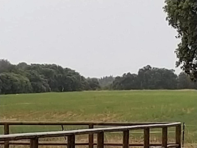 Photos 12 - Equestrian - Equestrian center operating 16 hours a week   A rare find on