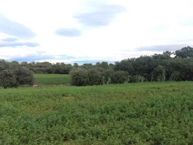 Photos 13 - Equestrian - Equestrian center operating 16 hours a week   A rare find on