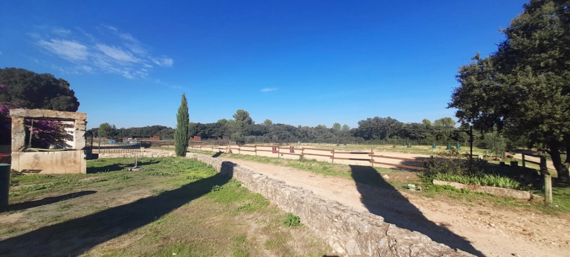 Photos 14 - Equestrian - Equestrian center operating 16 hours a week   A rare find on