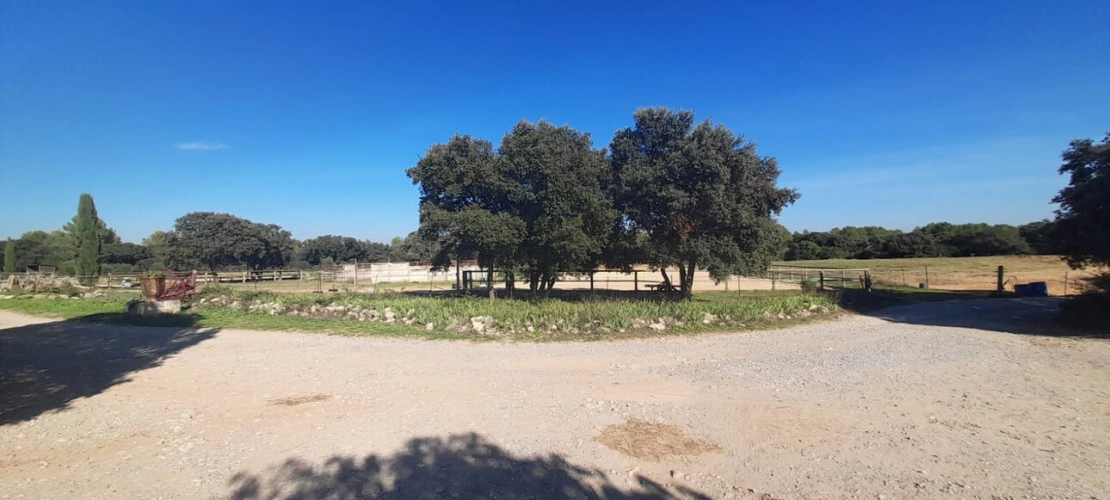 Photos 15 - Equestrian - Equestrian center operating 16 hours a week   A rare find on