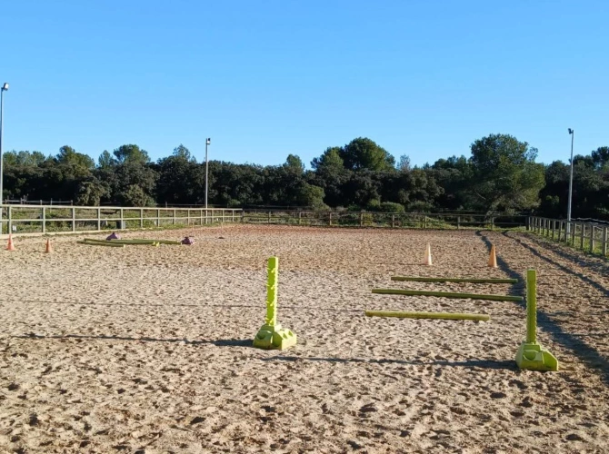 Photos 17 - Equestrian - Equestrian center operating 16 hours a week   A rare find on