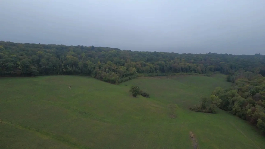 Photos 10 - Forestière - Forêt à vendre près de Bourbonne-les-Bains (Haute-Marne), futaie feuillue de 23 hectares