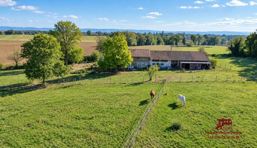 Photos 2 - Prestige - Propriété 5 hectares attenants