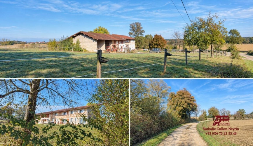 Photos 7 - Prestige - Propriété 5 hectares attenants