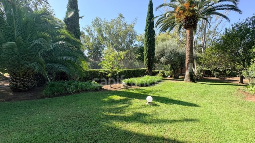 Photos 25 - Prestige - Propriete à vendre 6 pièces SAINT RAPHAEL (83)