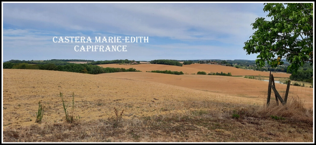 Photos 21 - Rurale - Dpt Gers (32), ferme 3 HECTARES environ à 15 minutes d'AUCH