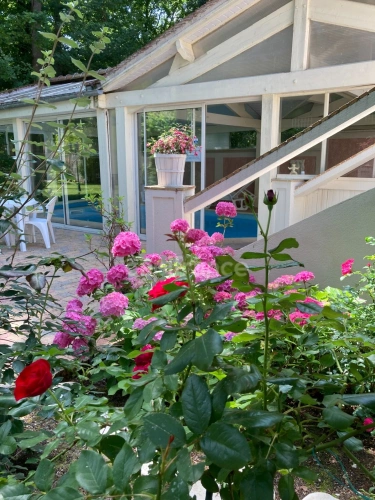 Photos 17 - Prestige - Giverny centre – Demeure 7 pièces avec piscine