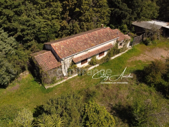 Photos 1 - Touristique - SAGONE (Corse) : Propriete à vendre, maison T4 + dépendance avec 2 appartements T1, sur terrain plat de 5000m2