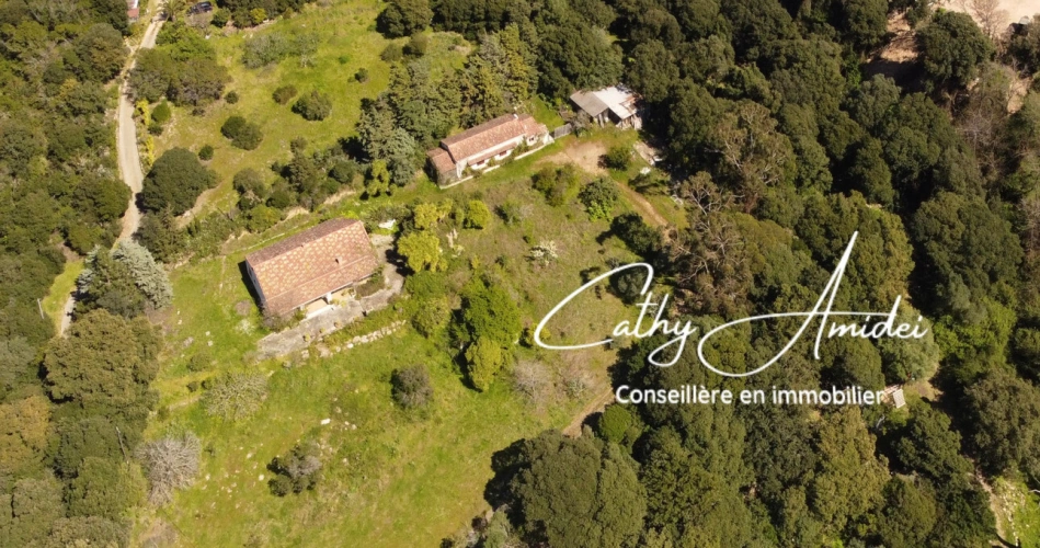 Photos 2 - Touristique - SAGONE (Corse) : Propriete à vendre, maison T4 + dépendance avec 2 appartements T1, sur terrain plat de 5000m2