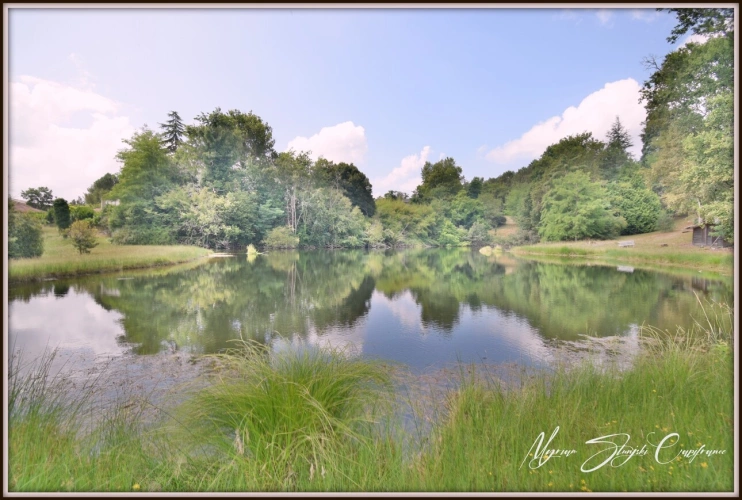 Photos 4 - Prestige - Propriete à vendre 8 pièces  de 350 m² environ à MIMIZAN (40) avec lac privatif, cadre exceptionnel
