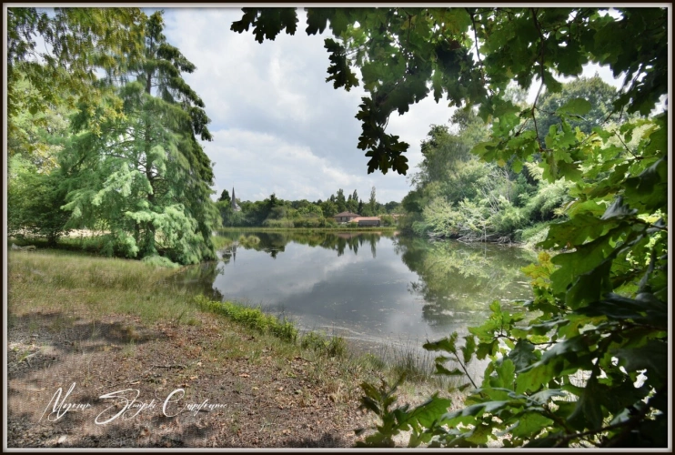 Photos 42 - Prestige - Propriete à vendre 8 pièces  de 350 m² environ à MIMIZAN (40) avec lac privatif, cadre exceptionnel
