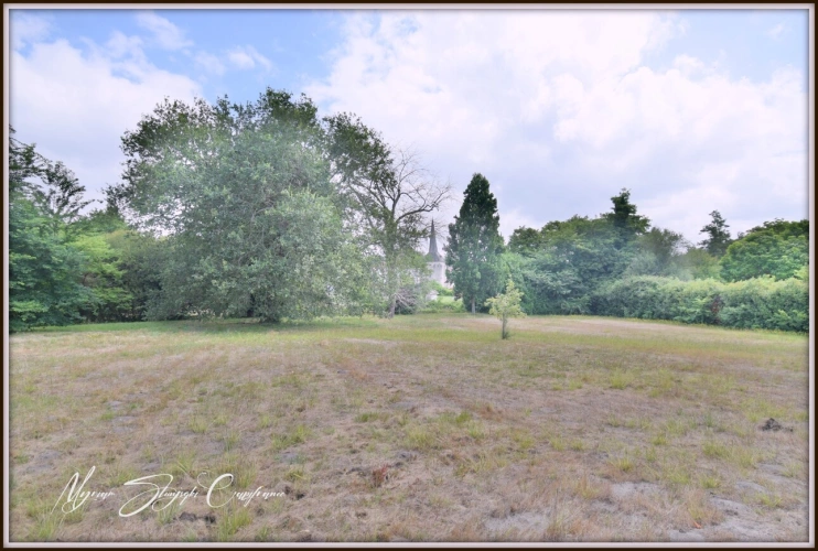 Photos 44 - Prestige - Propriete à vendre 8 pièces  de 350 m² environ à MIMIZAN (40) avec lac privatif, cadre exceptionnel