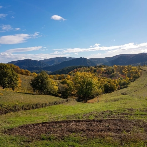 Photos 8 - Rurale - corps de ferme rénové en pleine nature des hautes corbières