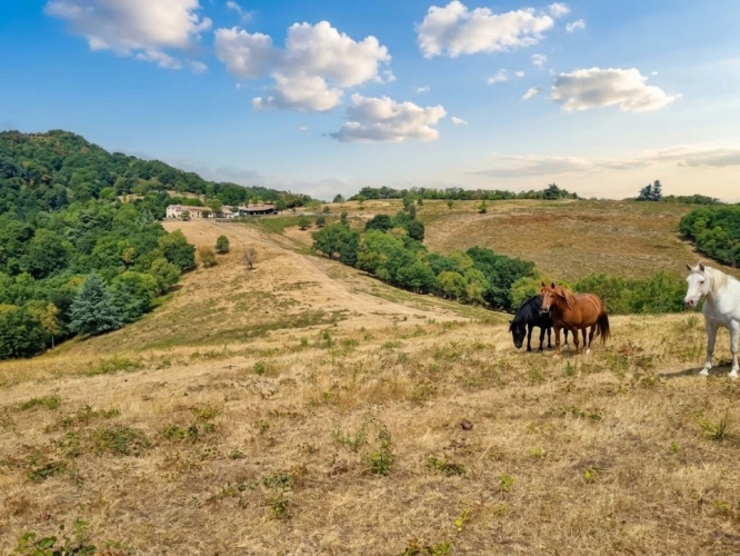 Photos 14 - Rurale - corps de ferme rénové en pleine nature des hautes corbières