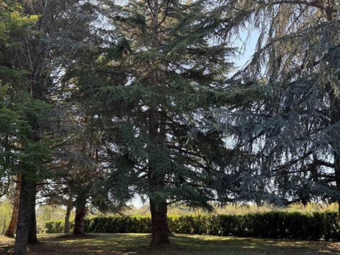 Photos 15 - Rurale - Chic moderne et jardin magnifique
