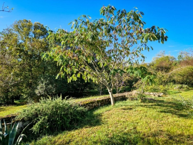 Photos 4 - Touristique - BELLE MAISON DE CARACTERE EN PIERRES AVEC 3,5HA ET LAC