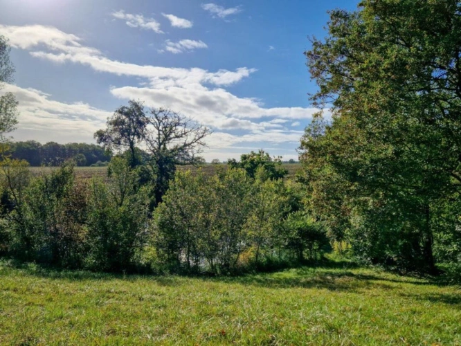 Photos 14 - Touristique - BELLE MAISON DE CARACTERE EN PIERRES AVEC 3,5HA ET LAC