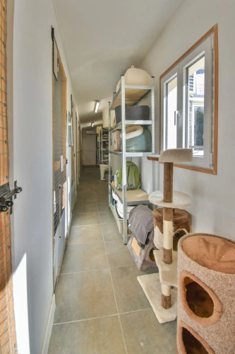 Photos 11 - Rurale - Chatterie professionnelle avec maison charentaise – Charente