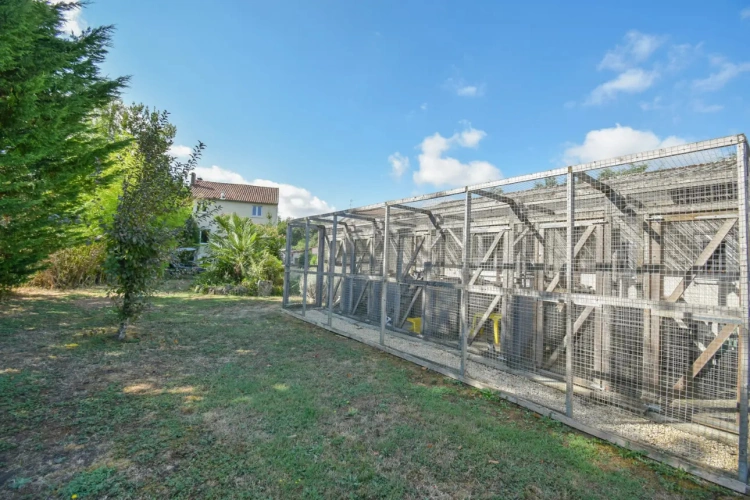 Photos 12 - Rurale - Chatterie professionnelle avec maison charentaise – Charente