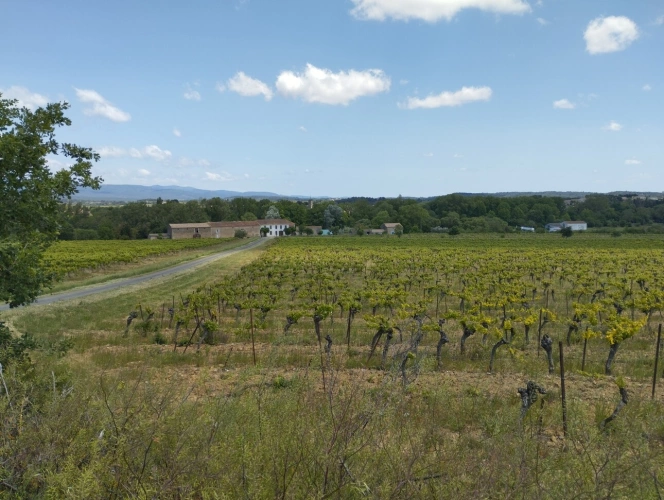 Photos 5 - Agricole - Propriete à vendre 9 pièces VILLALIER (11)