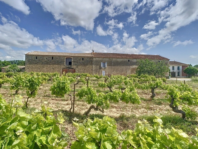 Photos 13 - Agricole - Propriete à vendre 9 pièces VILLALIER (11)