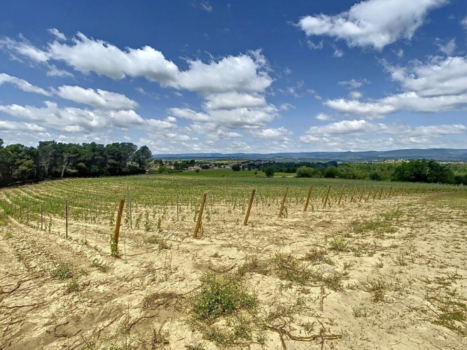 Photos 14 - Agricole - Propriete à vendre 9 pièces VILLALIER (11)