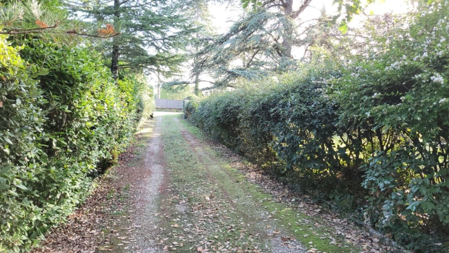 Photos 4 - Rurale - Propriété de caractère avec grand jardin privatif, à seulement 5 minutes  de Villefranche de Rouergue