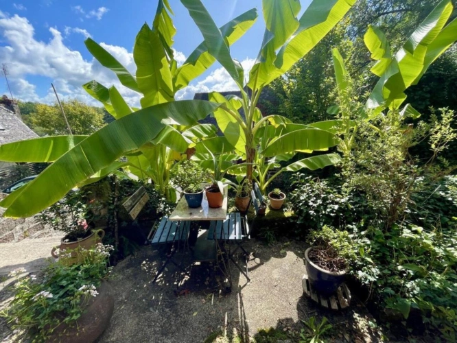 Photos 17 - Touristique - Maison en pierre avec chambres d'hôtes, piscine, gîte et espace bien-être
