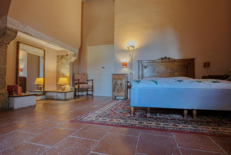 Photos 6 - Prestige - Château historique sur 19,5 hectares