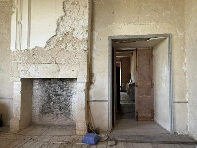 Photos 14 - Prestige - Château historique sur 19,5 hectares