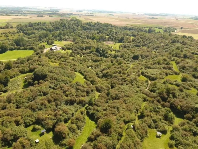 Photos 4 - Forestière - Superbe propriété dans le Pas de Calais sur près de 40 ha
