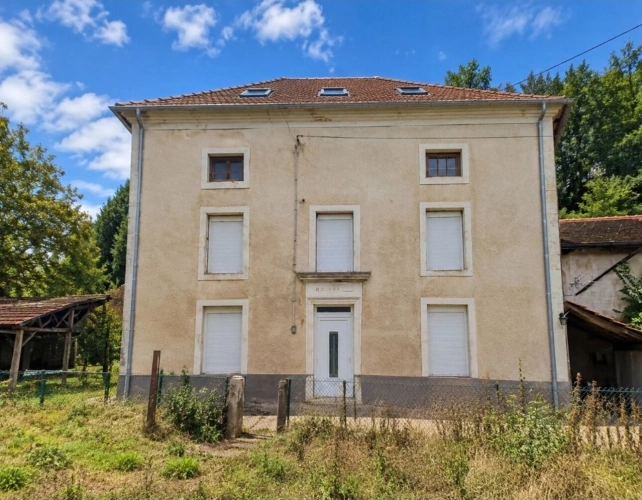 Photos 3 - Prestige - Propriété MAISON à vendre 8 pièces à EPINAL (88) avec DEPENDANCES sur 6262 m2 de TERRAIN